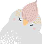 鳥