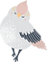 Bird        