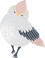 Bird        