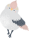 鳥