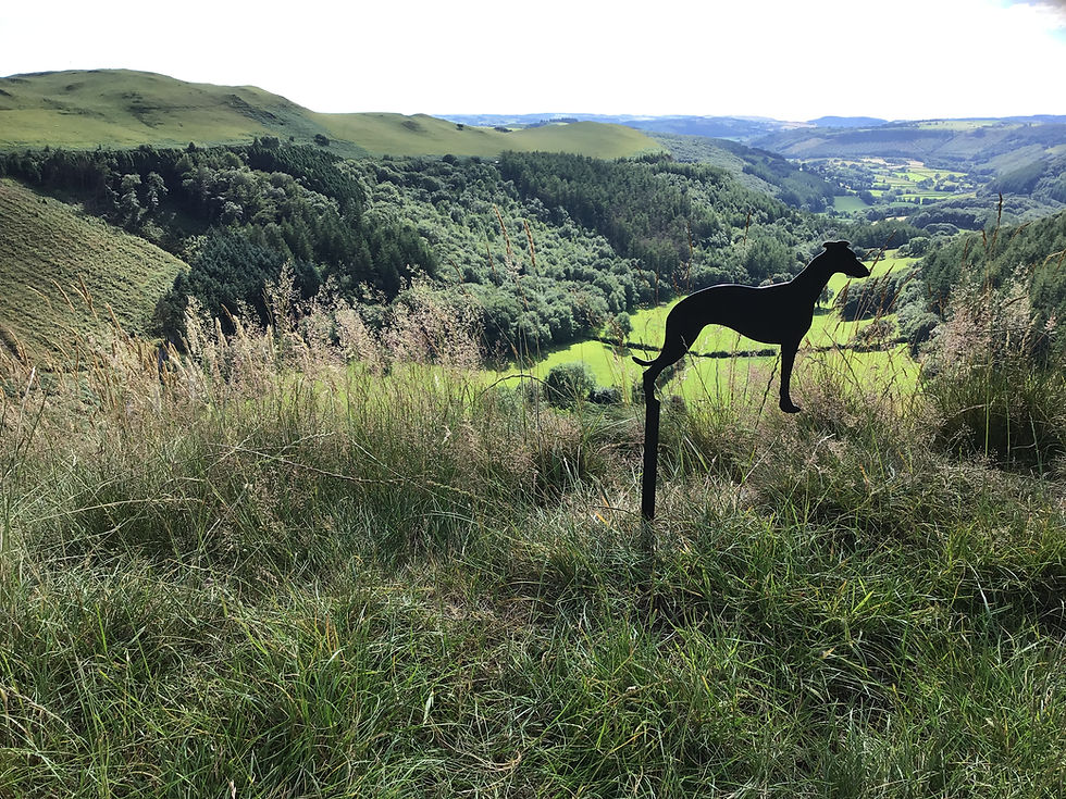 Thumbnail: Greyhound Themed Garden Stake Decor