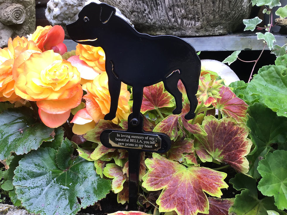 Thumbnail: Staffordshire Bull Terrier Flowerpot Stake