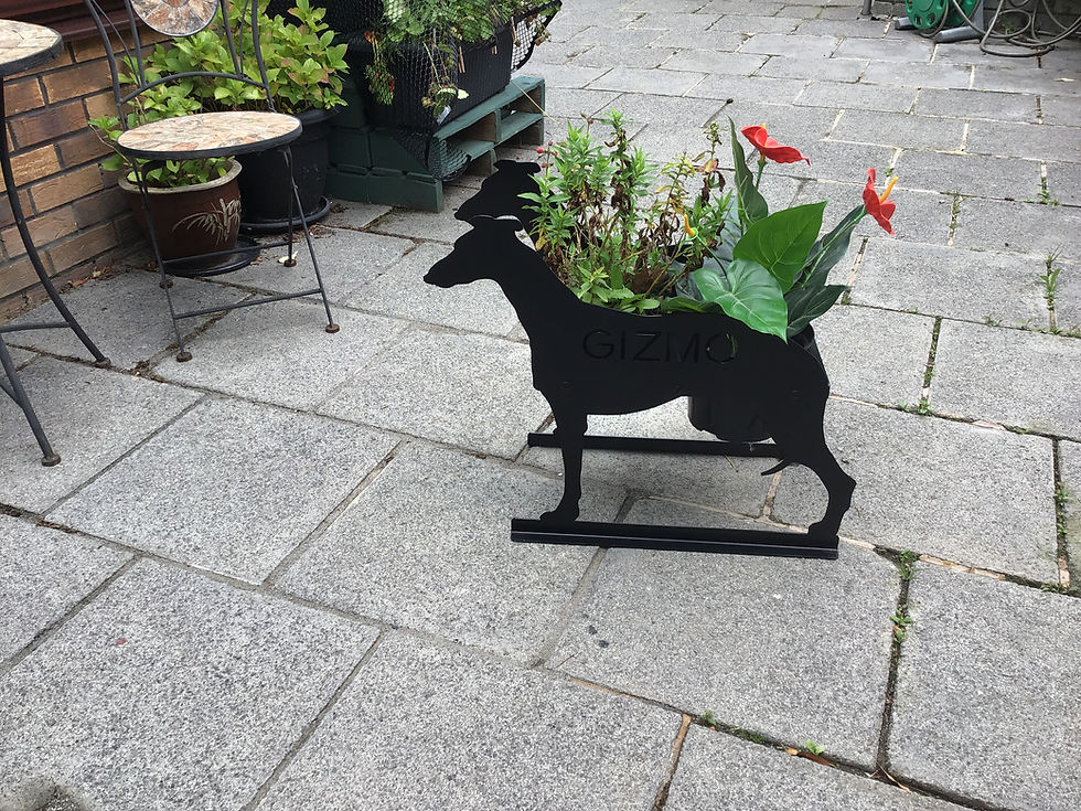 Thumbnail: Greyhound / Whippet Themed "GIZMO"  Planter