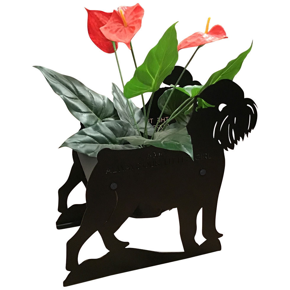 Thumbnail: Griffon Bruxellois Themed Planter