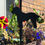 Thumbnail: Cockapoo Flowerpot Stake