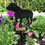 Thumbnail: Staffordshire Bull Terrier Flowerpot Stake