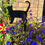 Thumbnail: Cat Flowerpot Stake