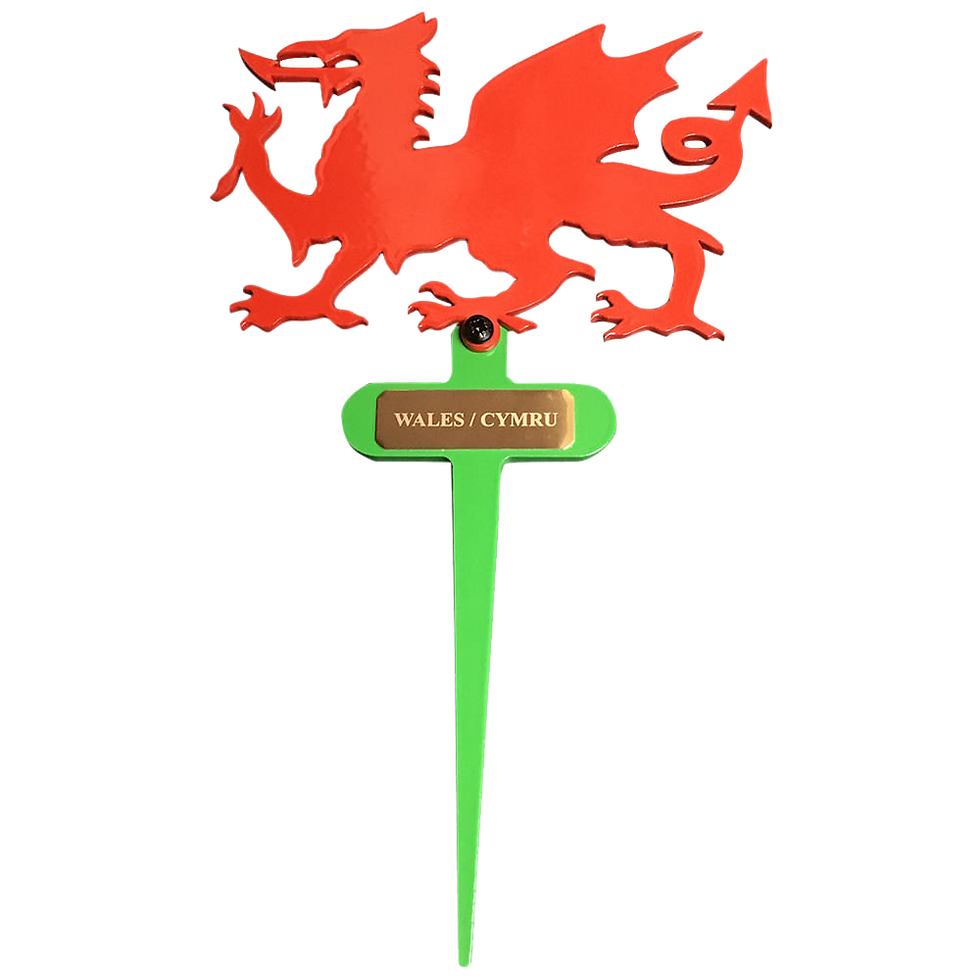 Thumbnail: Welsh Dragon Flowerpot Stake