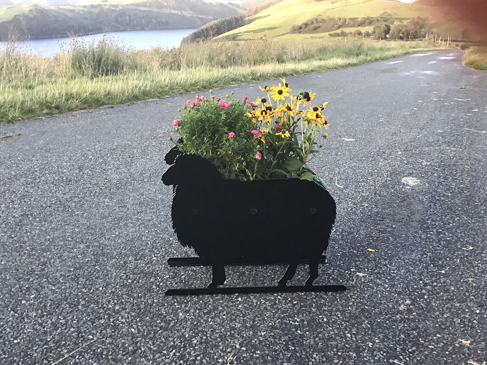 Thumbnail: Sheep Themed Planter