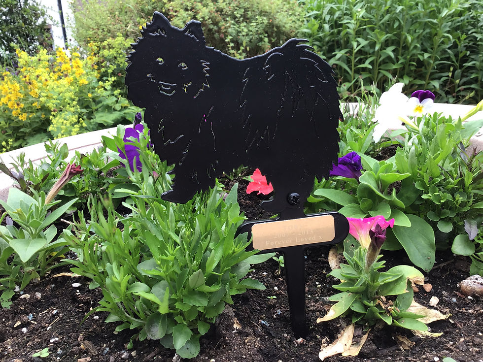 Thumbnail: Pomeranian Flowerpot Stake