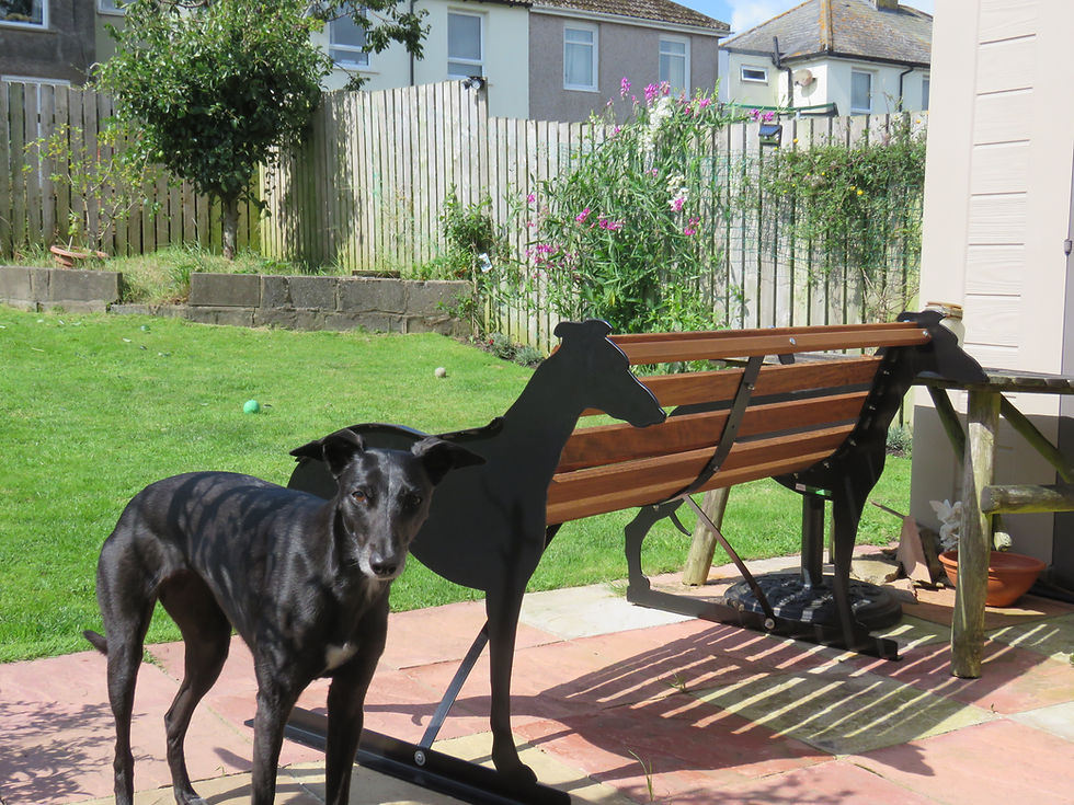 Thumbnail: Greyhound / Whippet Garden Bench