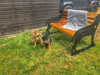 Thumbnail: Border Terrier Garden Bench