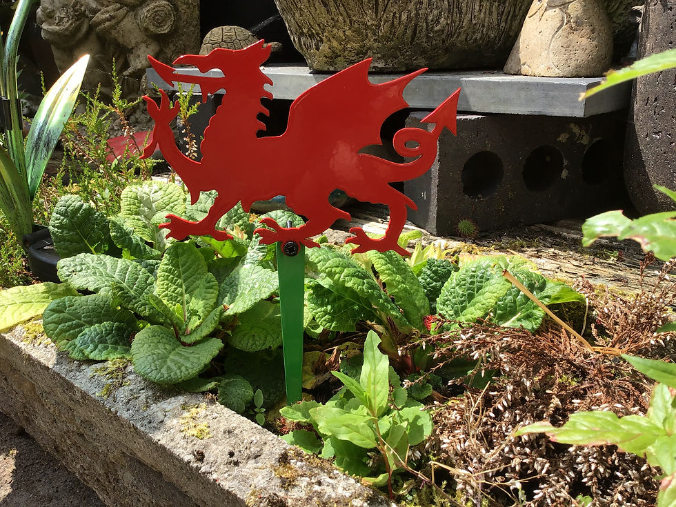 Thumbnail: Welsh Dragon Flowerpot Stake