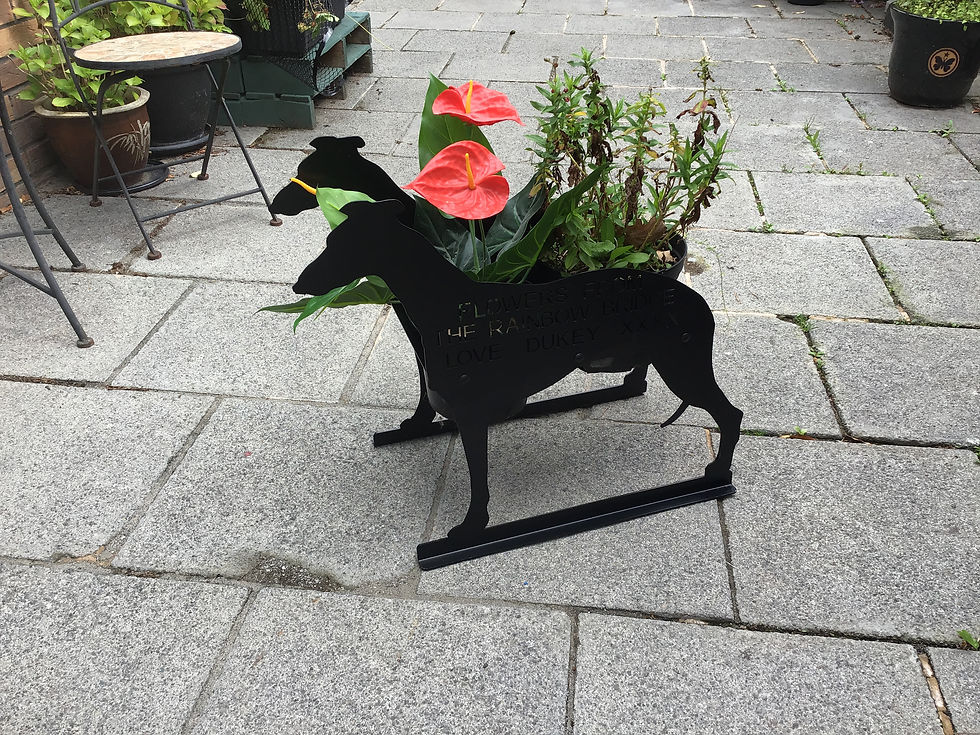 Greyhound / Whippet Themed "DUKEY"  Planter