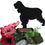 Thumbnail: English Cocker Spaniel Flowerpot Stake