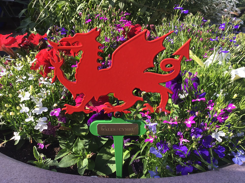 Thumbnail: Welsh Dragon Flowerpot Stake