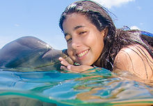 Vacation On Dolphins (1).jpg