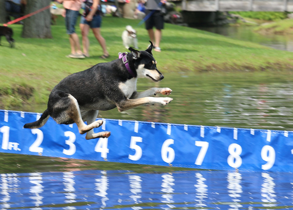 Flying