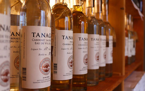 tanagragallery5-w800h500.jpg