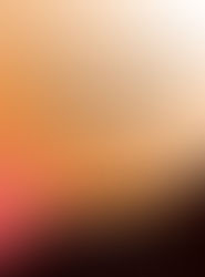 Book cover for The Yamas & Niyamas: Exploring Yoga's Ethical practice  by Deborah Adele