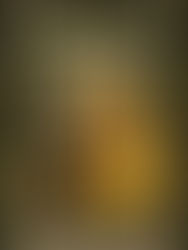 Book cover for The Secret of the Old Clock by Carolyn Keene