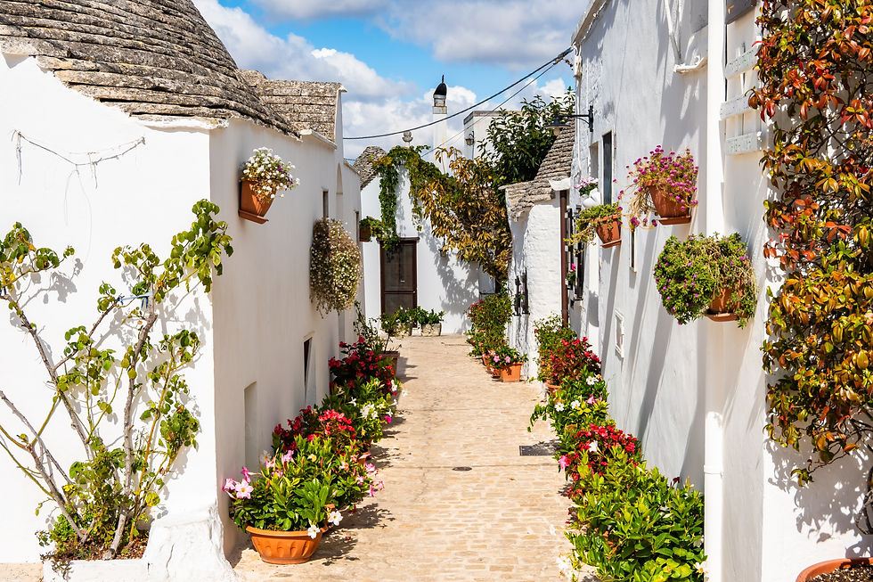 Alberobello, Italy - -lined white alley with stone roofs and terracotta pots under a bright blue sky
