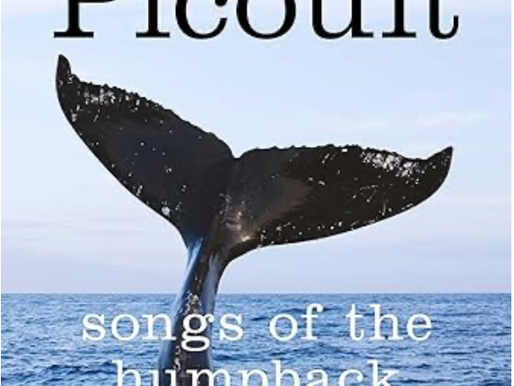 Book Cover Songs of the Humpback Whale by Jodi Picoult