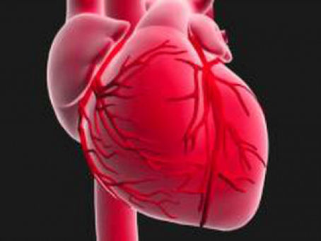 Ostéopathie et Cardiologie : Comment ça marche ?