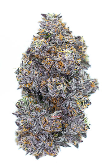 Ice Cream Caker Bud.jpg