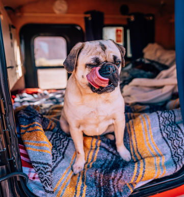 Photo by Susan Brudd_Hike4Beauty