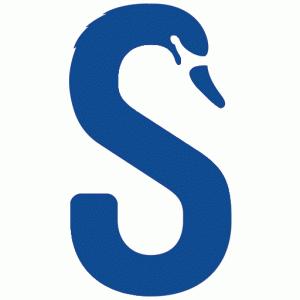 Swan English  Study& Holiday 25 hafta + 10 hafta Dil Okulu
