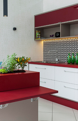 Showroom Celmar Mais