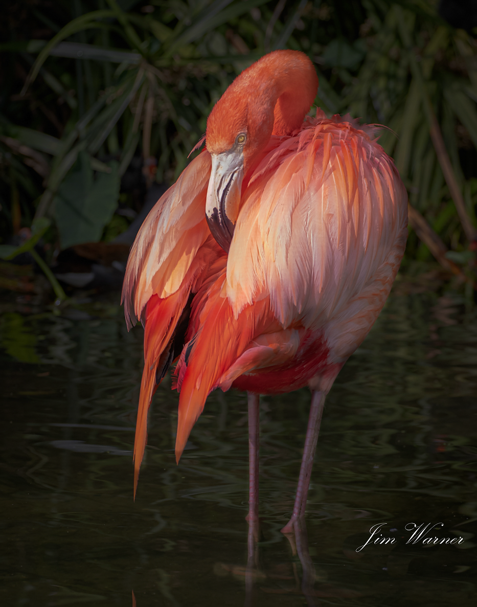 untitled (20 of 17).png