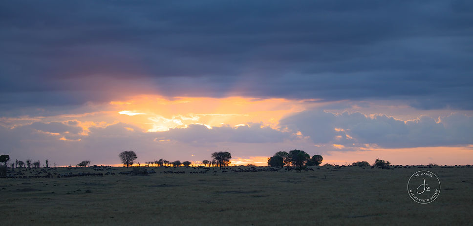 aftrica (18 of 53).jpg