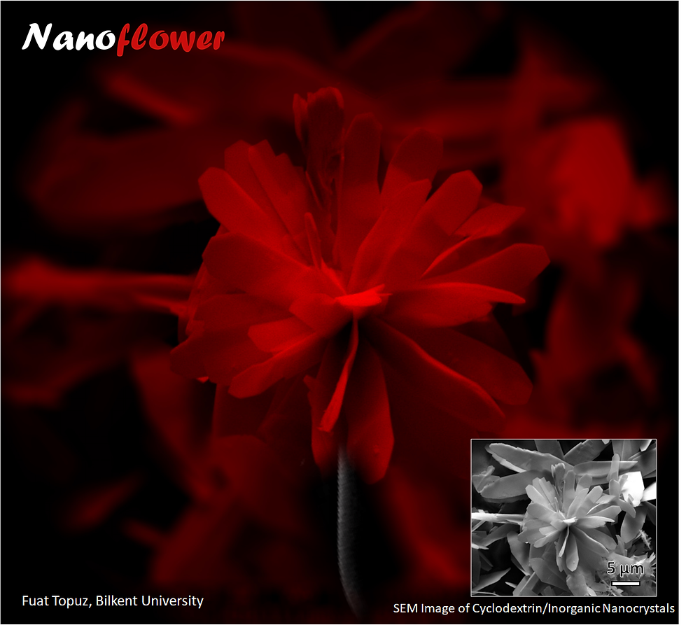 NanoFlower