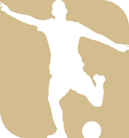 Senior league image.png