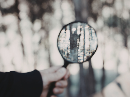 Clarity Diagnostics & the Five Focus Areas