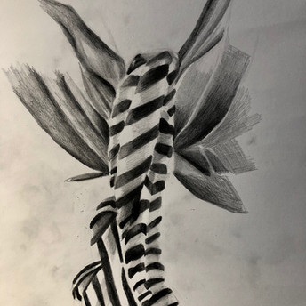 Untitled (study)