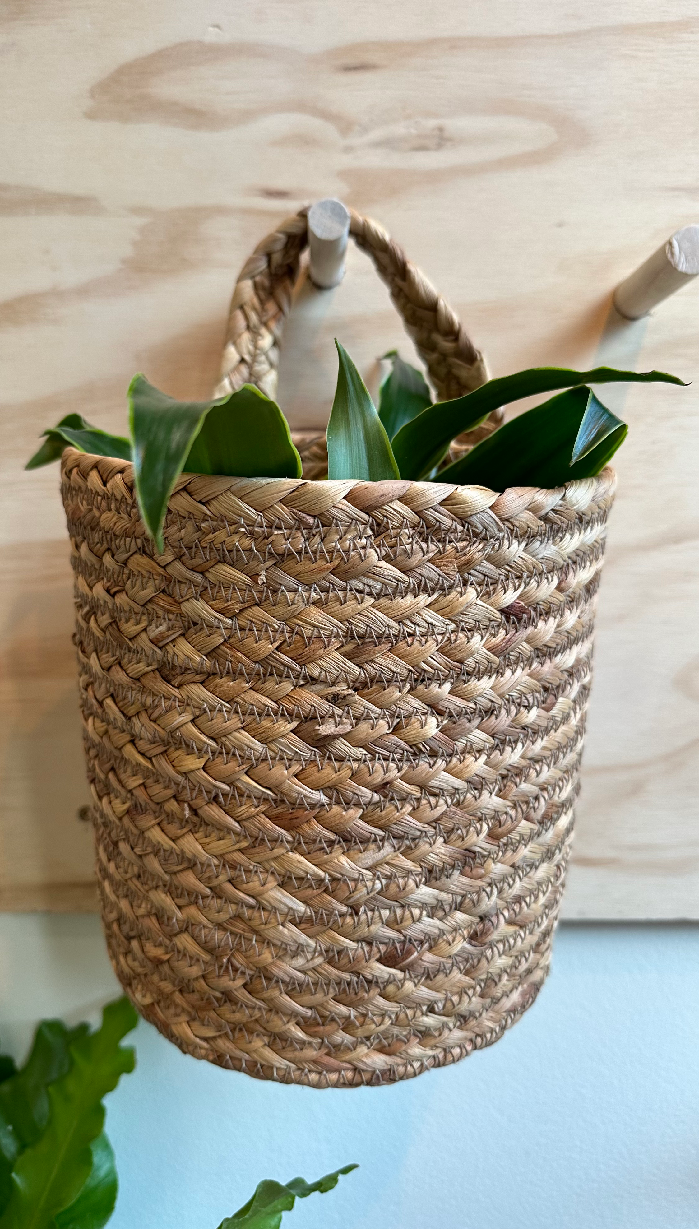 Wall Hanging Basket