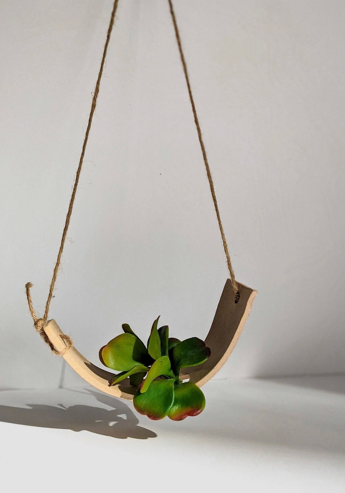 Air Plant Ceramic Planter