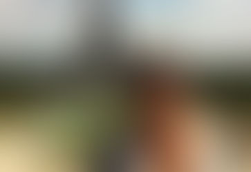 Ji Sung dévoile une photo prise devant la tour Eiffel à Paris : "Un shooting photo ?"