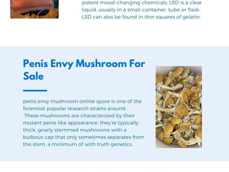Buy Magic Mushroom OnlineĀ in California from Magic Mushroom Web