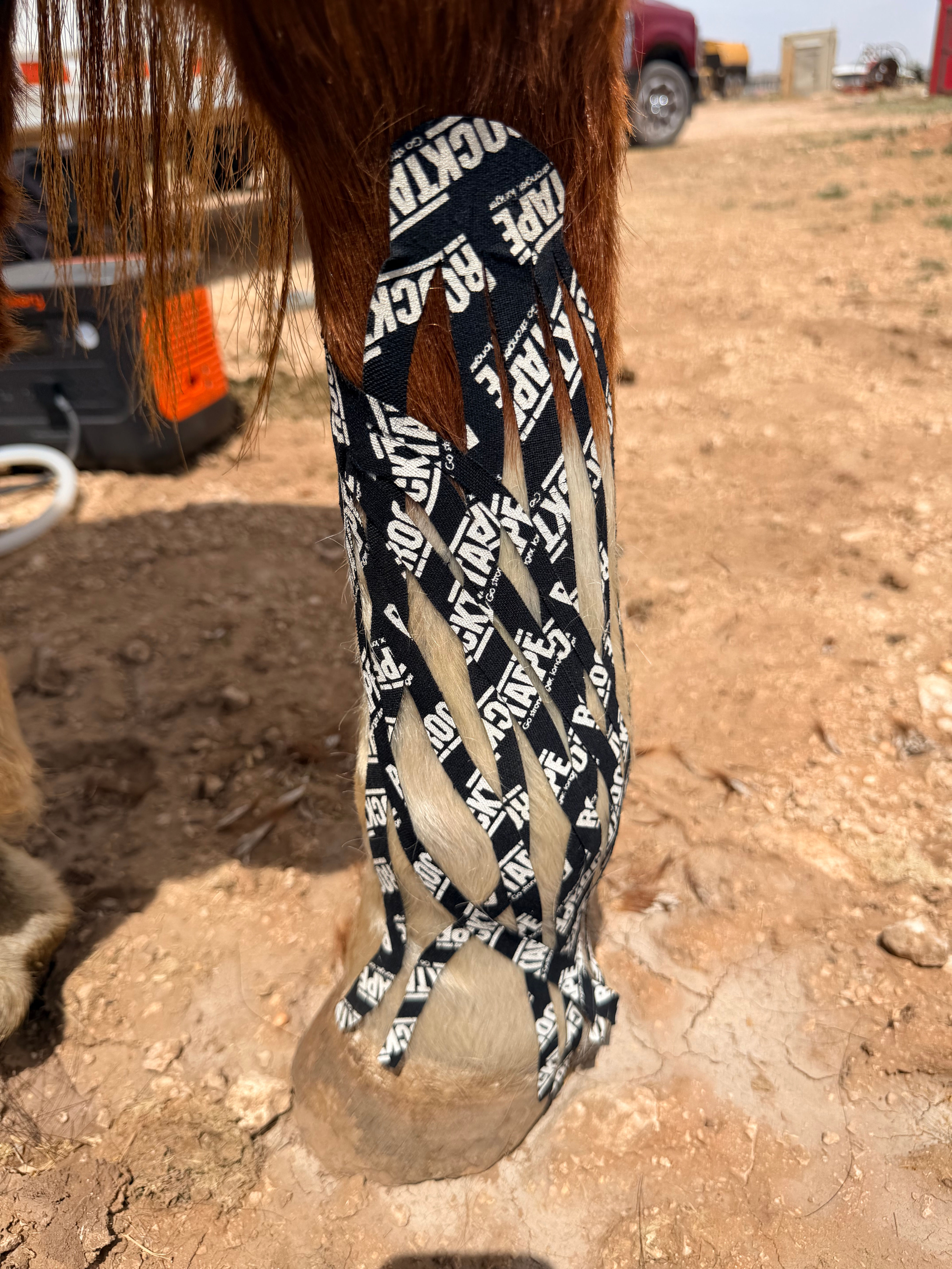 RockTape Equine KT Taping on a horse's lower leg