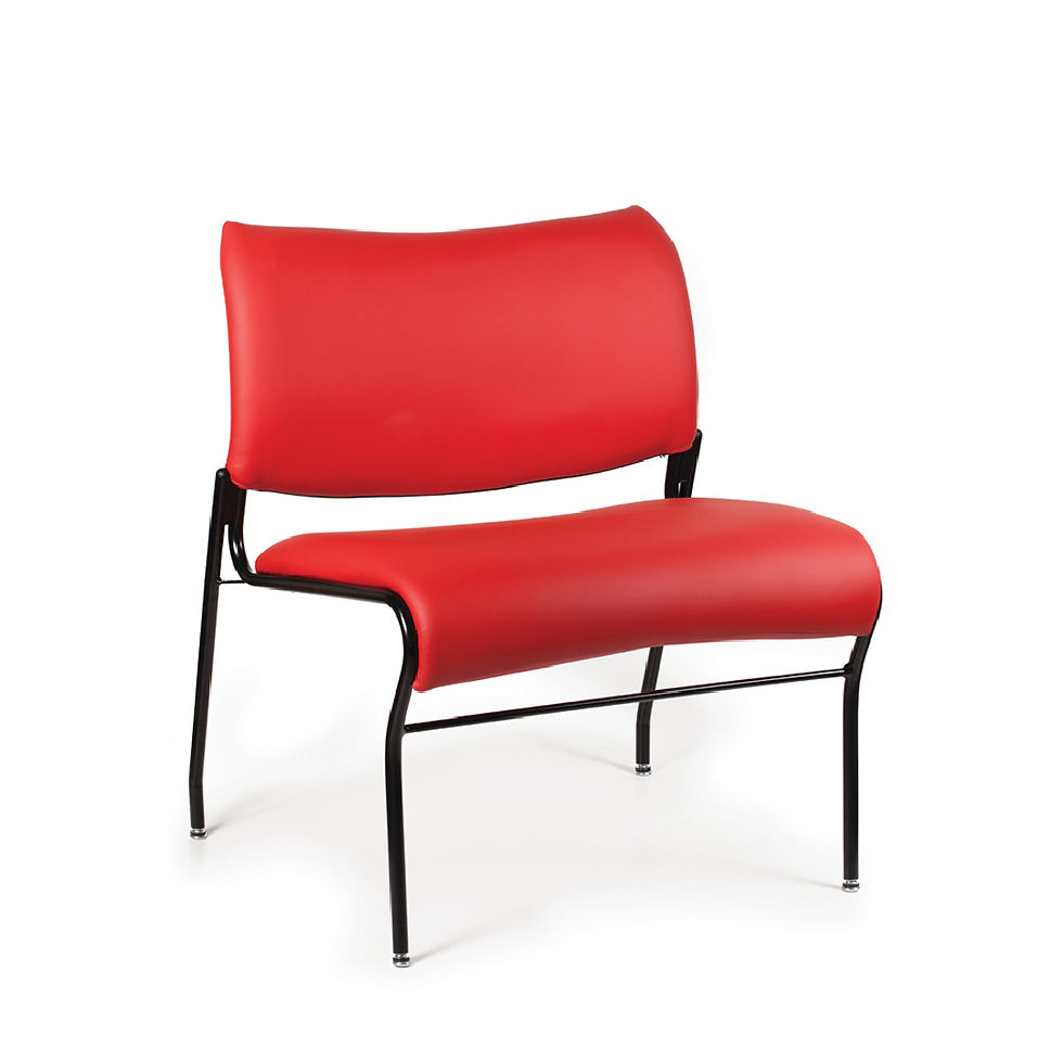 Cat Bariatric Chair