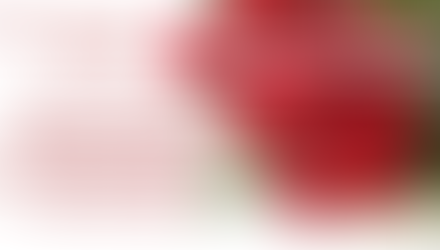 7 И 8 МАРТА ВСЕМ АВТОЛЕДИ СКИДКА НА РАБОТЫ 10% И ПОДАРОК.