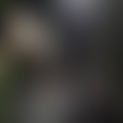 Technologische Innovationen in der Sicherheitsbranche: Die Zukunft der Sicherheit