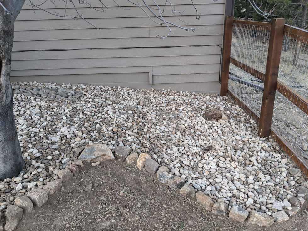 PXL_20201117_233527316