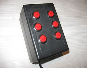 disp-1.jpg