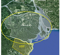 4delta 2seccion-2.png