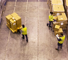 Warehouse Workers Sorting